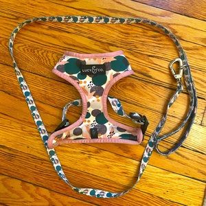 Lucy & Co Dog Harness and Leash - Reversible - Small